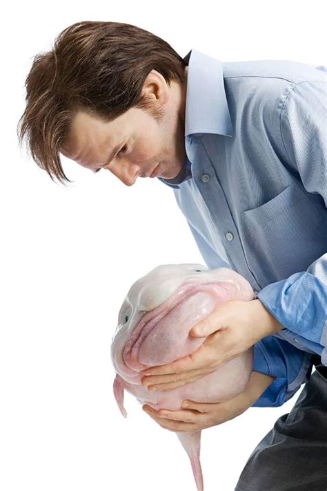 odd stock photos|odd images.